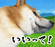 839114708