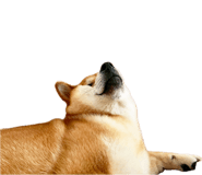 839114720
