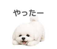 839115787