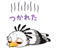 839116833