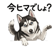 839117408