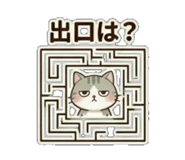 839118072