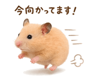 839118593