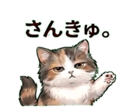 839120051