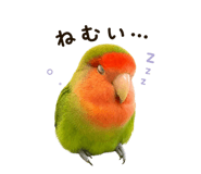 839120207