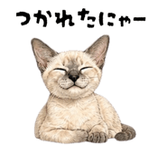 839120250
