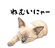 839120251