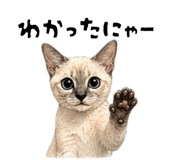 839120255