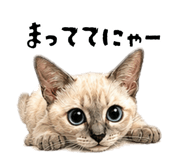 839120256