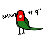 839120411
