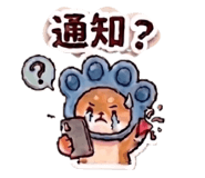 839120507