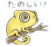 839121054