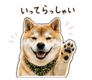 839121298
