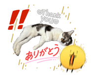 839122074