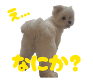 839122342