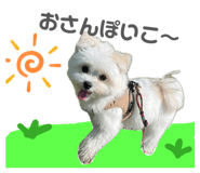 839122350