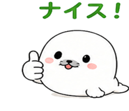 839122542