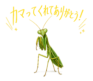 839122620