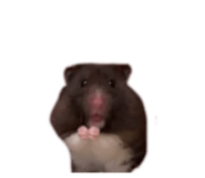 839123001