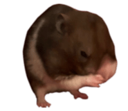 839123002
