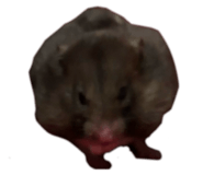839123020