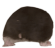 839123024