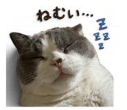 839123306