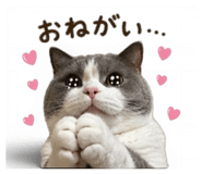 839123309