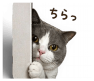 839123314