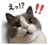 839123319