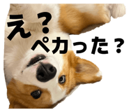 839123498