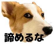 839123502