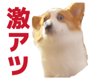 839123505