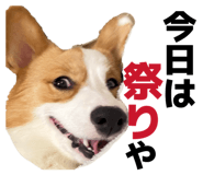 839123508