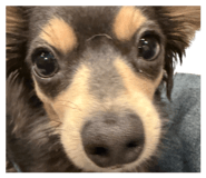 839125877
