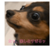 839125891