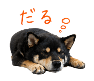 839128101