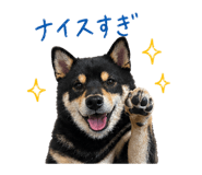 839128104