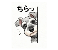 839129424