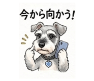 839129435