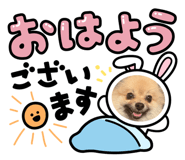 839131629