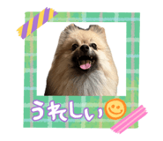 839131636