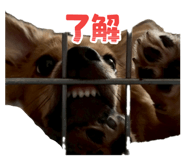 839131729