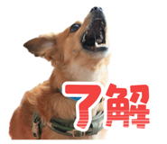 839131730