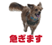 839131744
