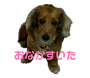 839131751