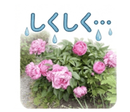 839132013