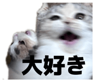839132202