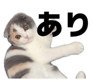 839132220