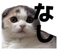 839132221
